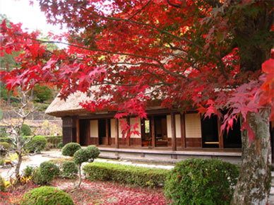 紅葉の頃の旧大戸家住宅