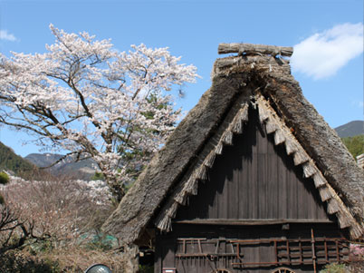 合掌の里