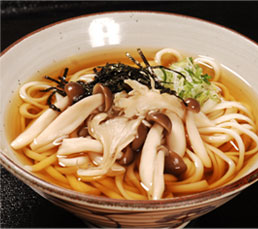 udon